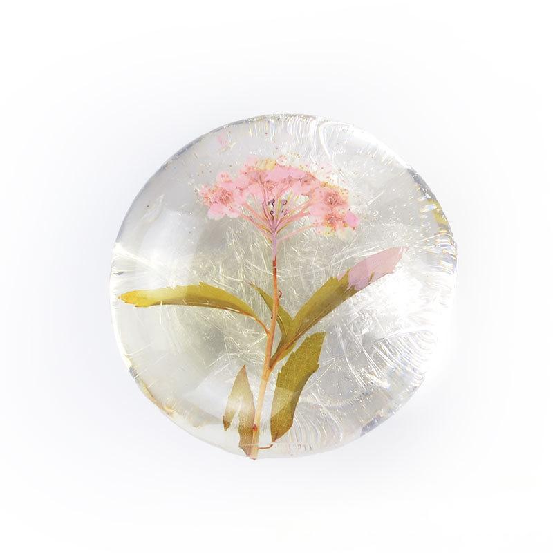 Cross-border foreign trade soap powder, Narcissus shampoo soap essence, black hair handmade soap, moisturizing and smoothing hair care soap, shampoo soap