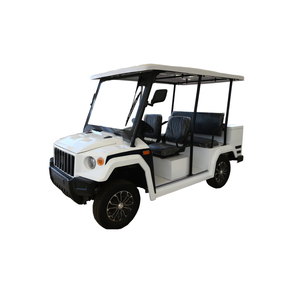 CARRITO DE GOLF ELÉCTRICO