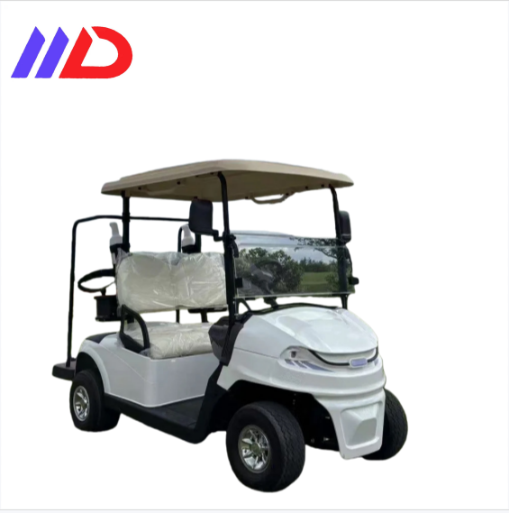 MDEV-GF2 Carrito de golf eléctrico para 2 personas con batería, legal para circular en la calle