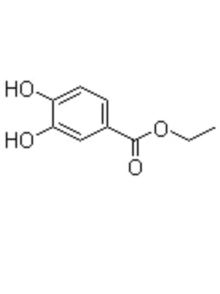  Ethyl 3,4-dihydroxybenzoate