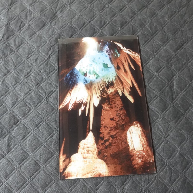 Printed Laminated Glass