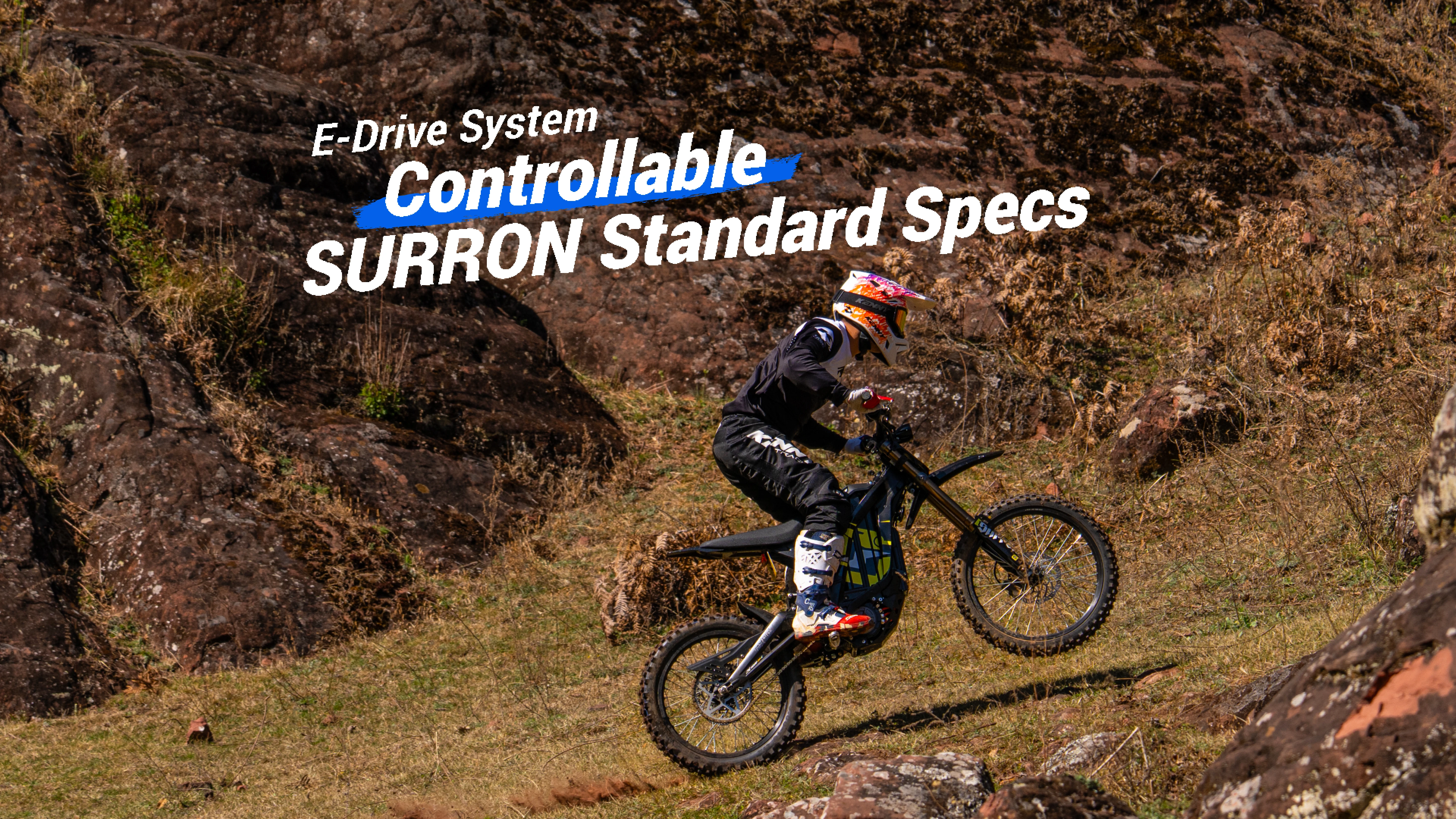 E-Drive System Controllable SURRON Standard Specs