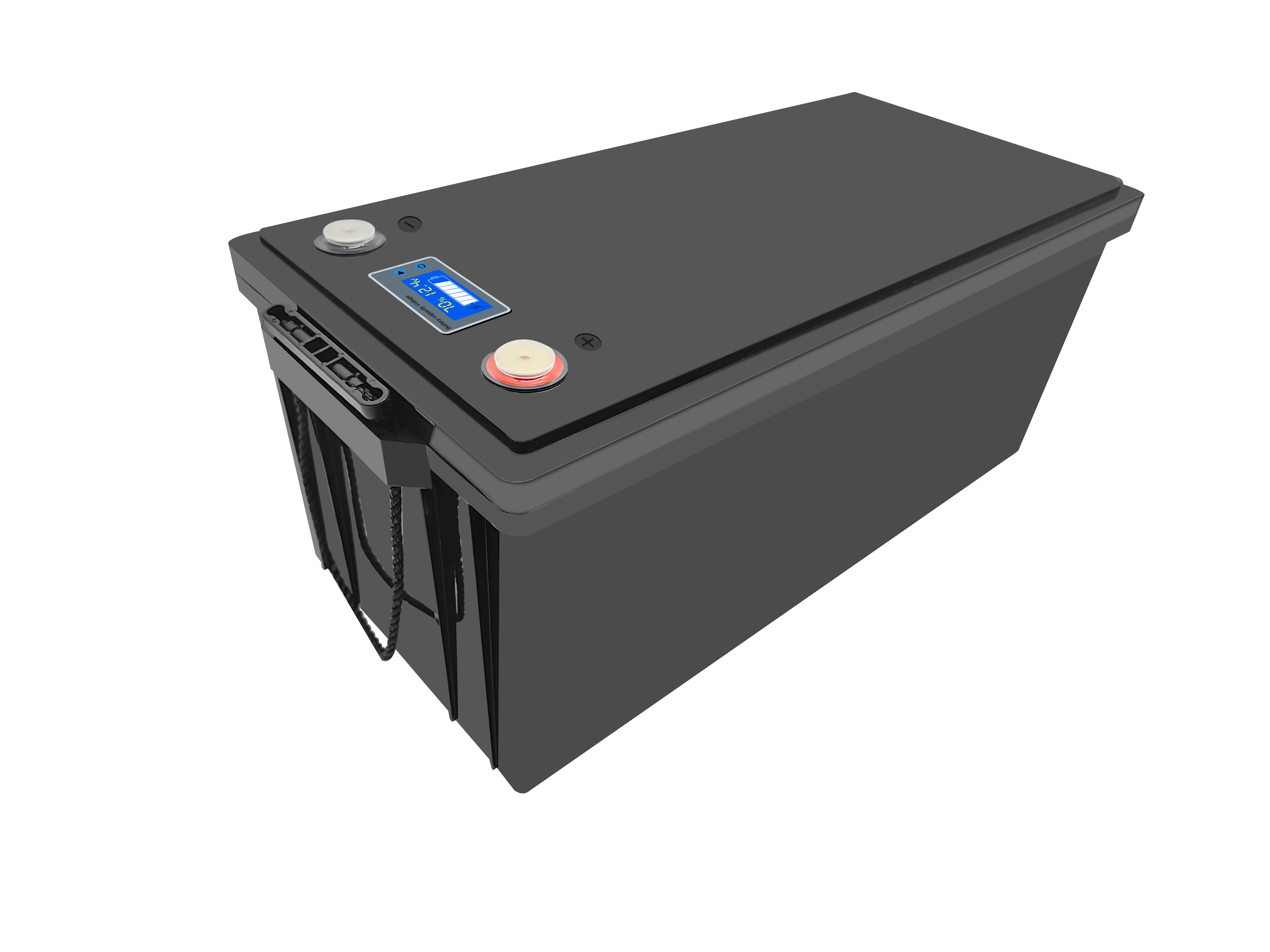 12.8V - 25.6V Lead-to-Lithium Energy Storage Lithium Iron Phosphate Battery (Black Version)