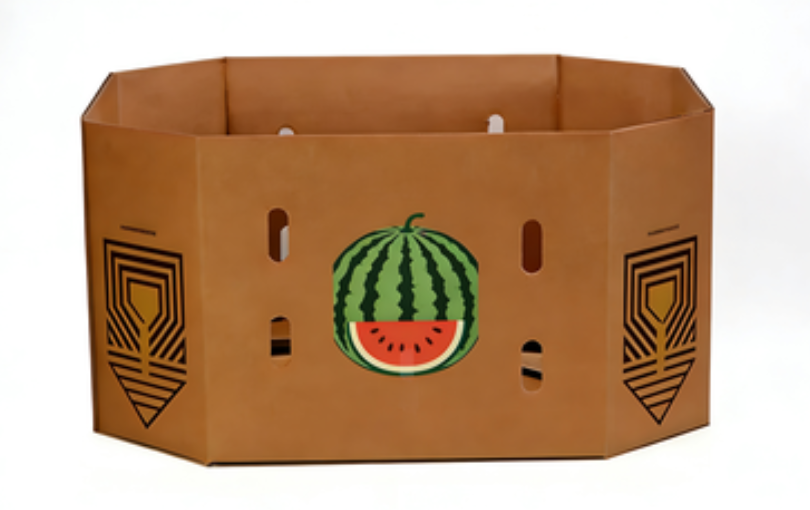 Tang Watermelon Box Watermelon Box-DHC AUSTRALIA PTY LTD