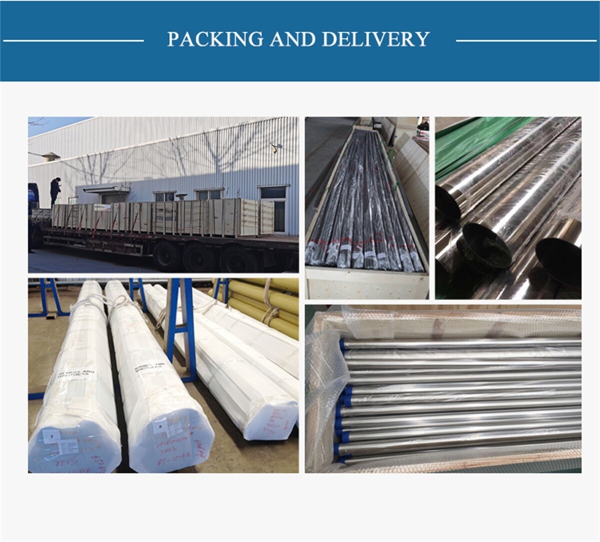 松晨_10.jpg 松晨_10.jpg