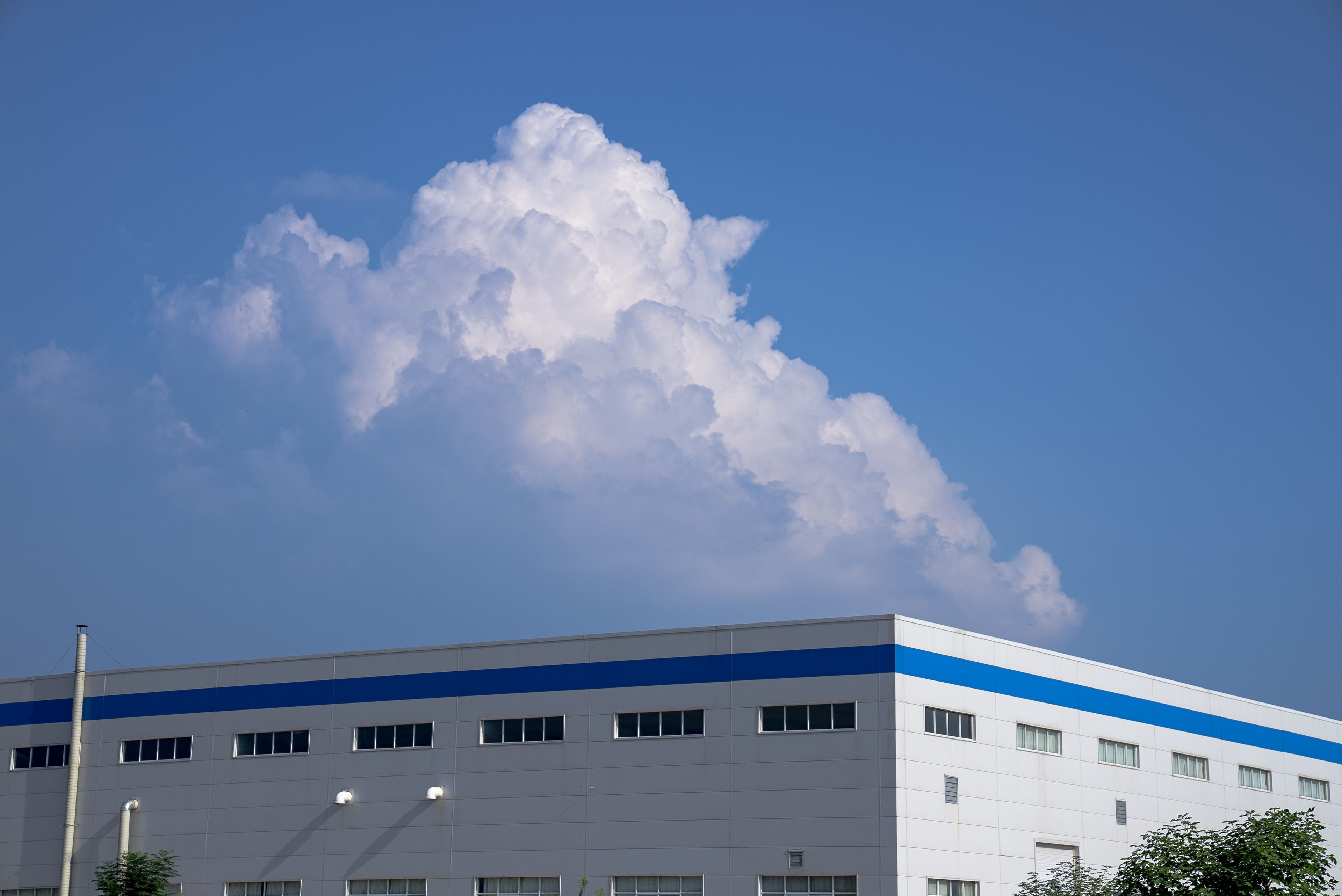 Shanghai Jiutai Steel Group Co., Ltd.