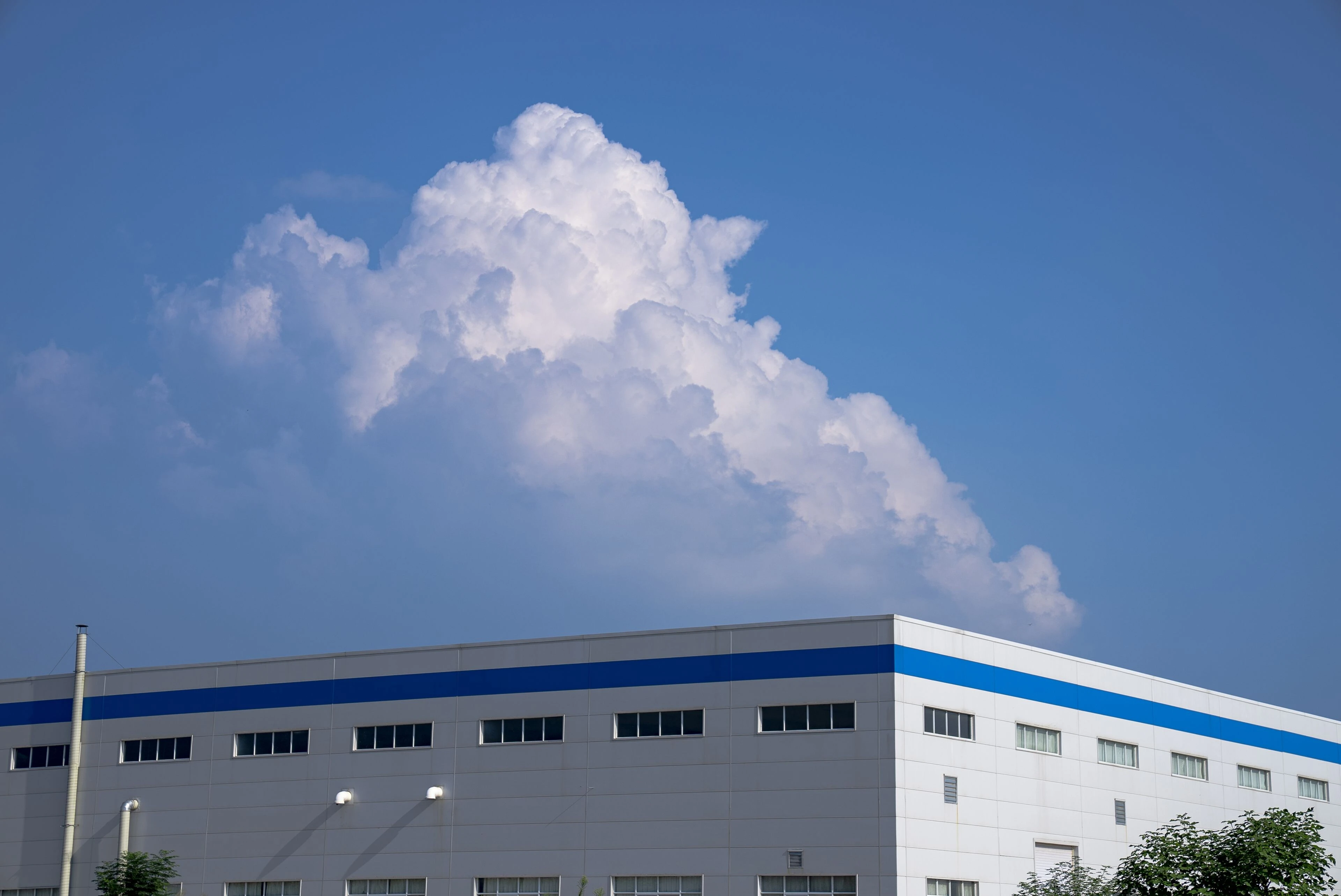 Shanghai Jiutai Steel Group Co., Ltd.