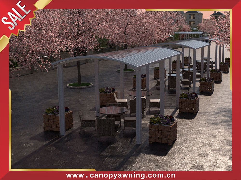 Beautiful outdoor polycarbonate aluminum sun rain canopy awning shelter for canteen coffee shop