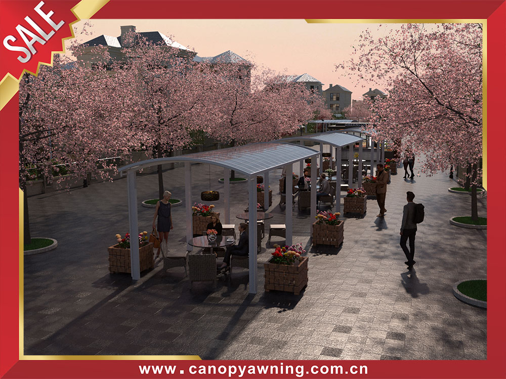 Beautiful outdoor polycarbonate aluminum sun rain canopy awning shelter for canteen coffee shop