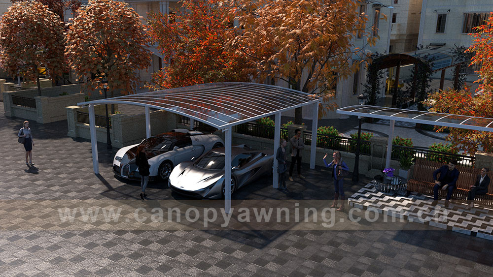 outdoor backyard park double cars canopy carport