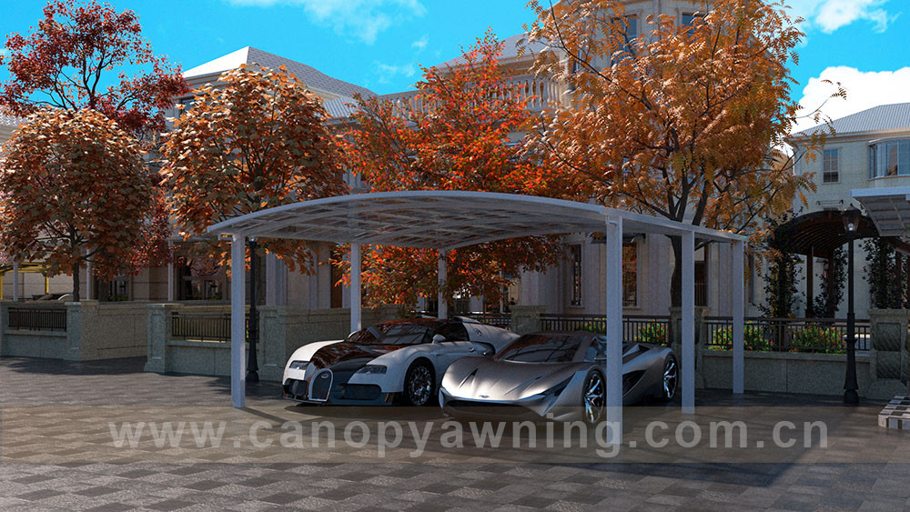 outdoor backyard parking double cars canopy carport