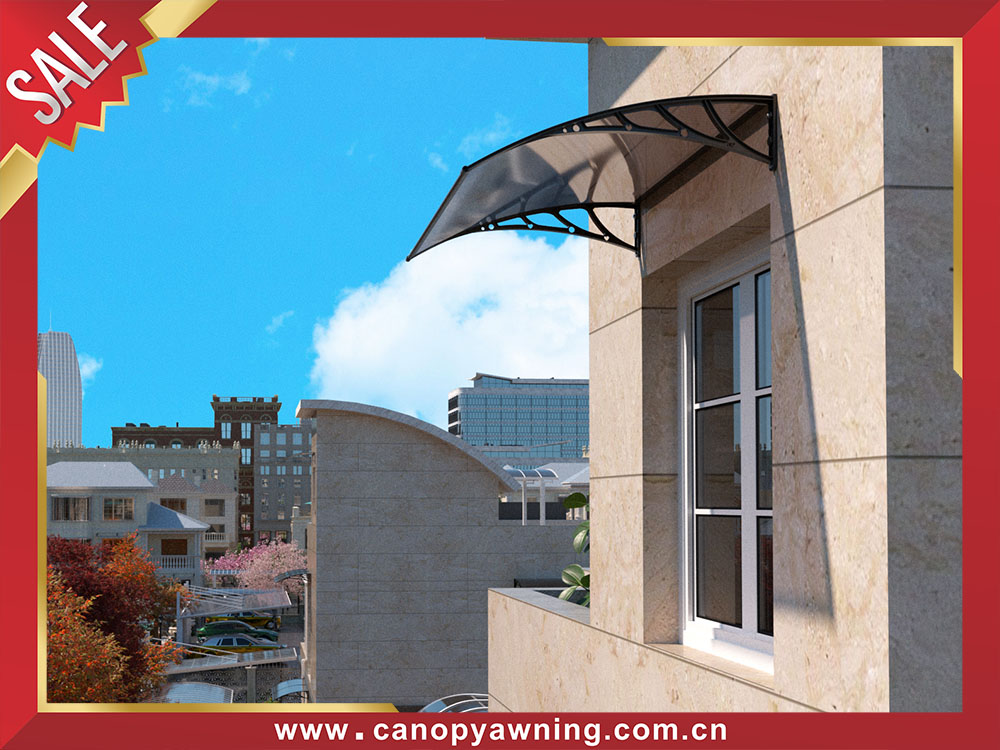 Europe hot selling DIY hollow polycarbonate pc awning canopy shelter for door window