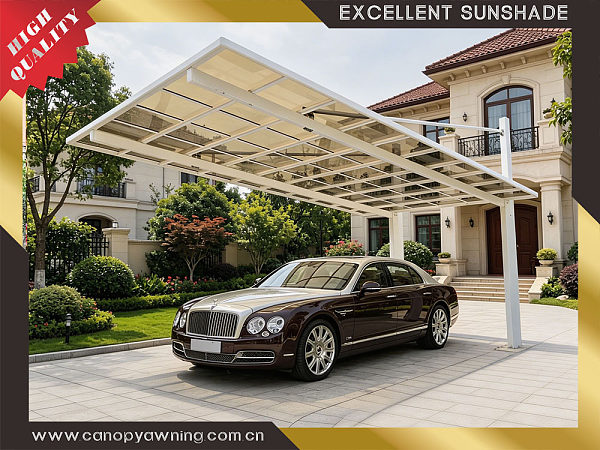 park car shelter canopy carport