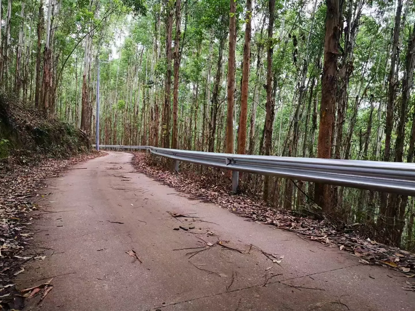 Road Protective Guard Rail