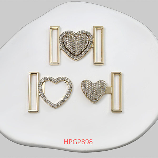 HPG2898