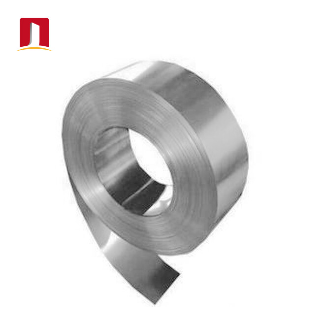 Stainless Steel Strip 