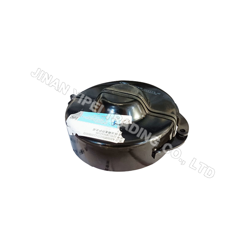 DZ91189550195 Conjunto de Protección de Cubierta de Tanque de Combustible de Hierro SHACMAN