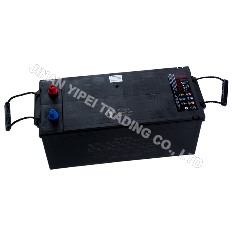 DZ95189761465 Batería sin mantenimiento (165Ah) SHACMAN