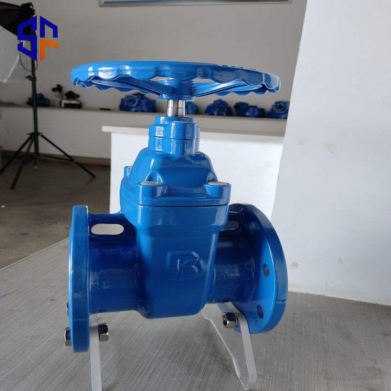 Gate Valve