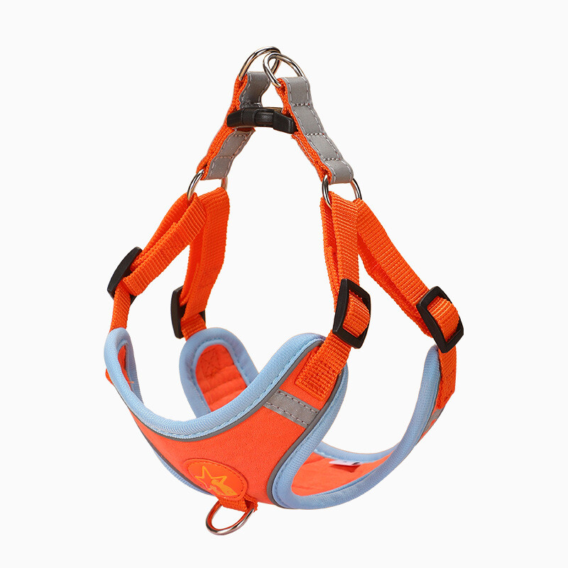 Macaron Pet Harness Leash Set