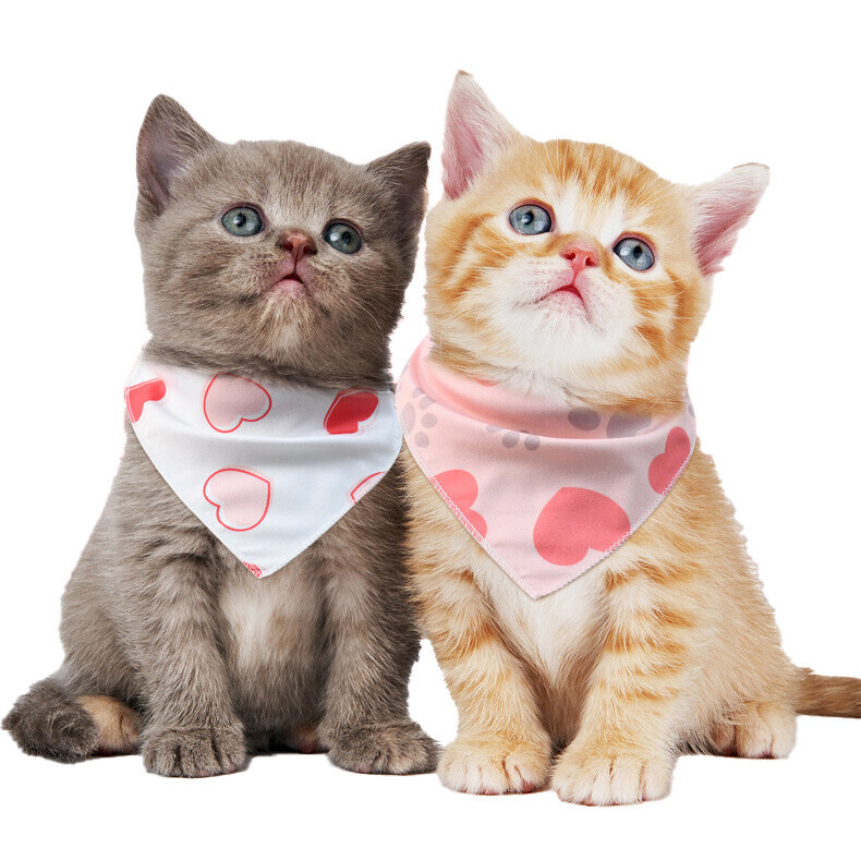 Pet Triangle Bandana