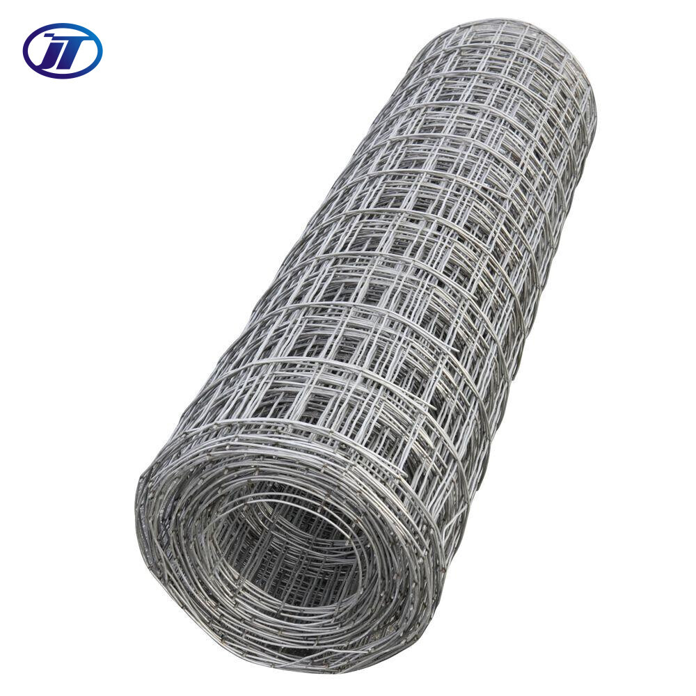 Hot-dip Galvanized Square Woven Wire Mesh