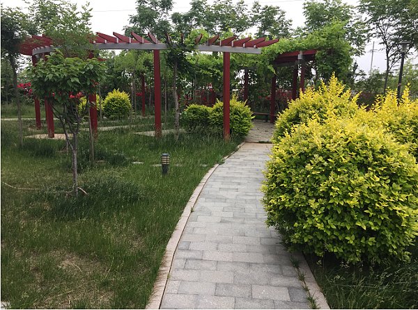 图片10