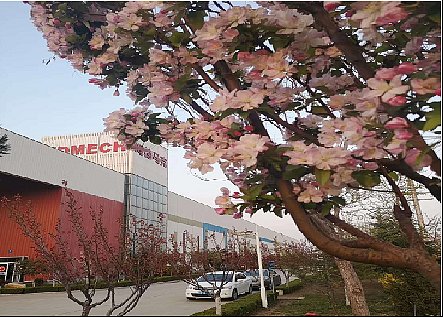 图片11