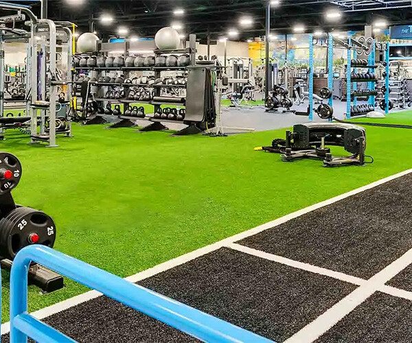 Weight Plates Buying Guide: How to Choose the Perfect Set