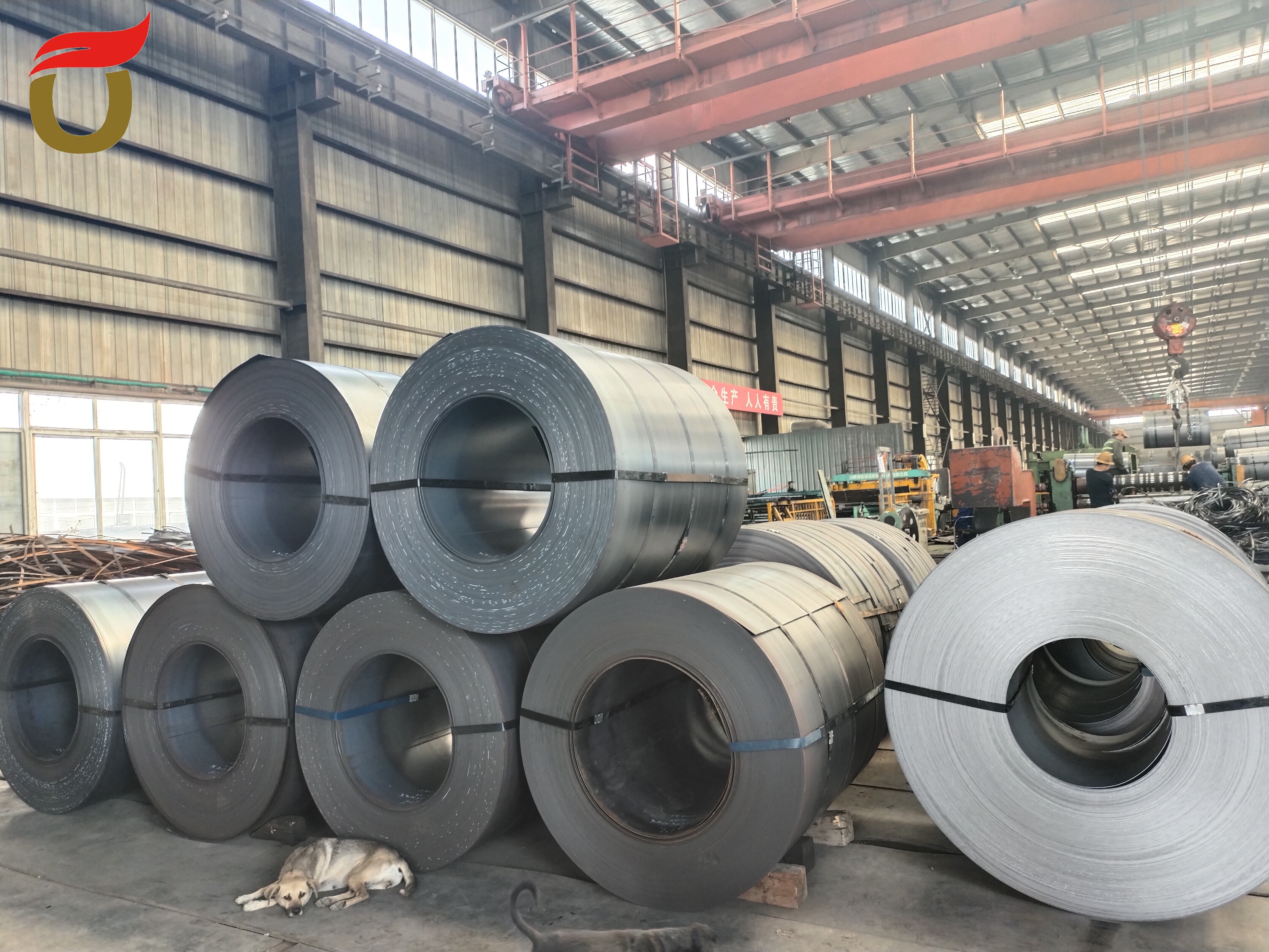 Hot Rolled Carbon Steel Coil
