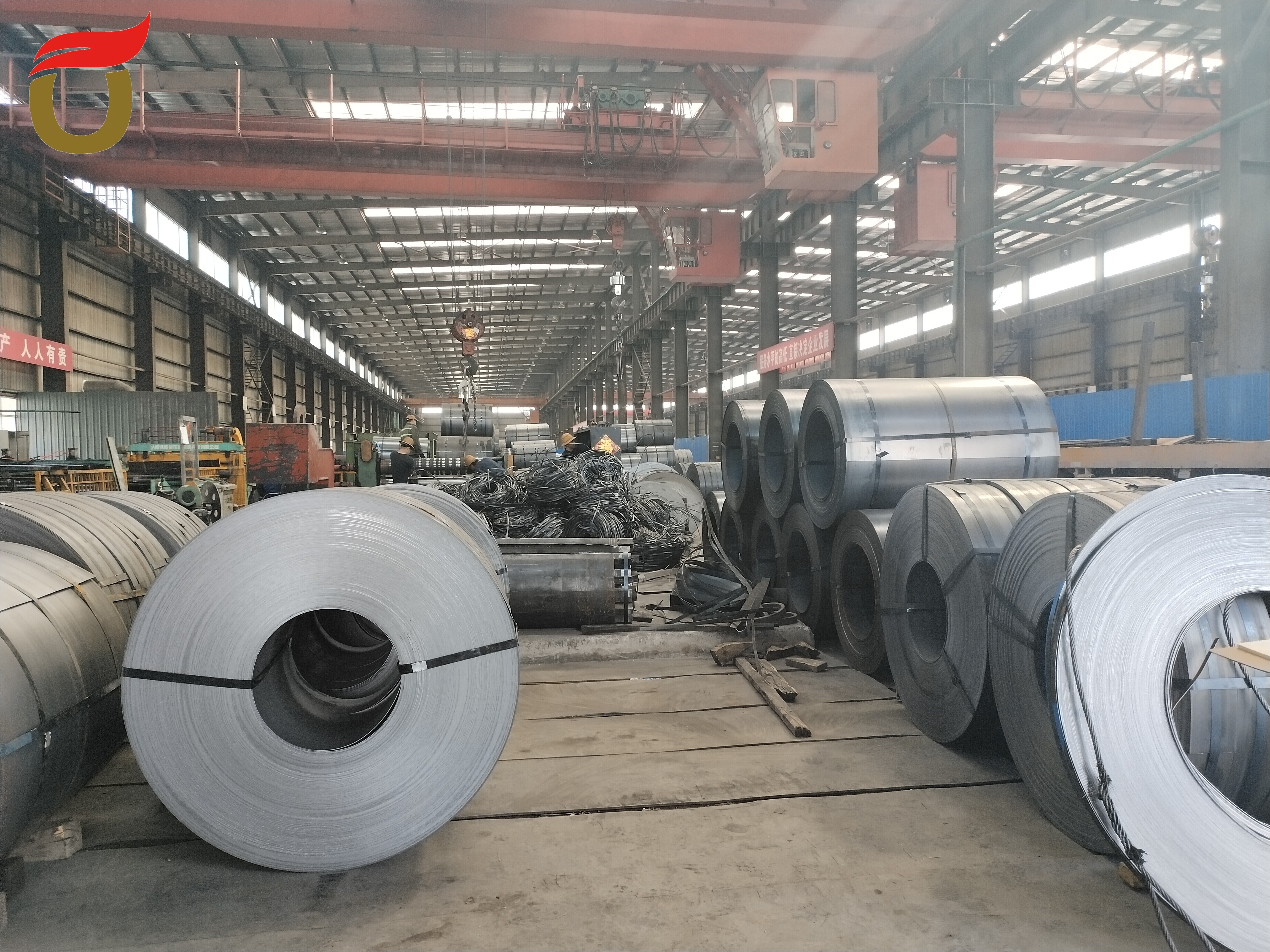 Hot Rolled Carbon Steel Coil