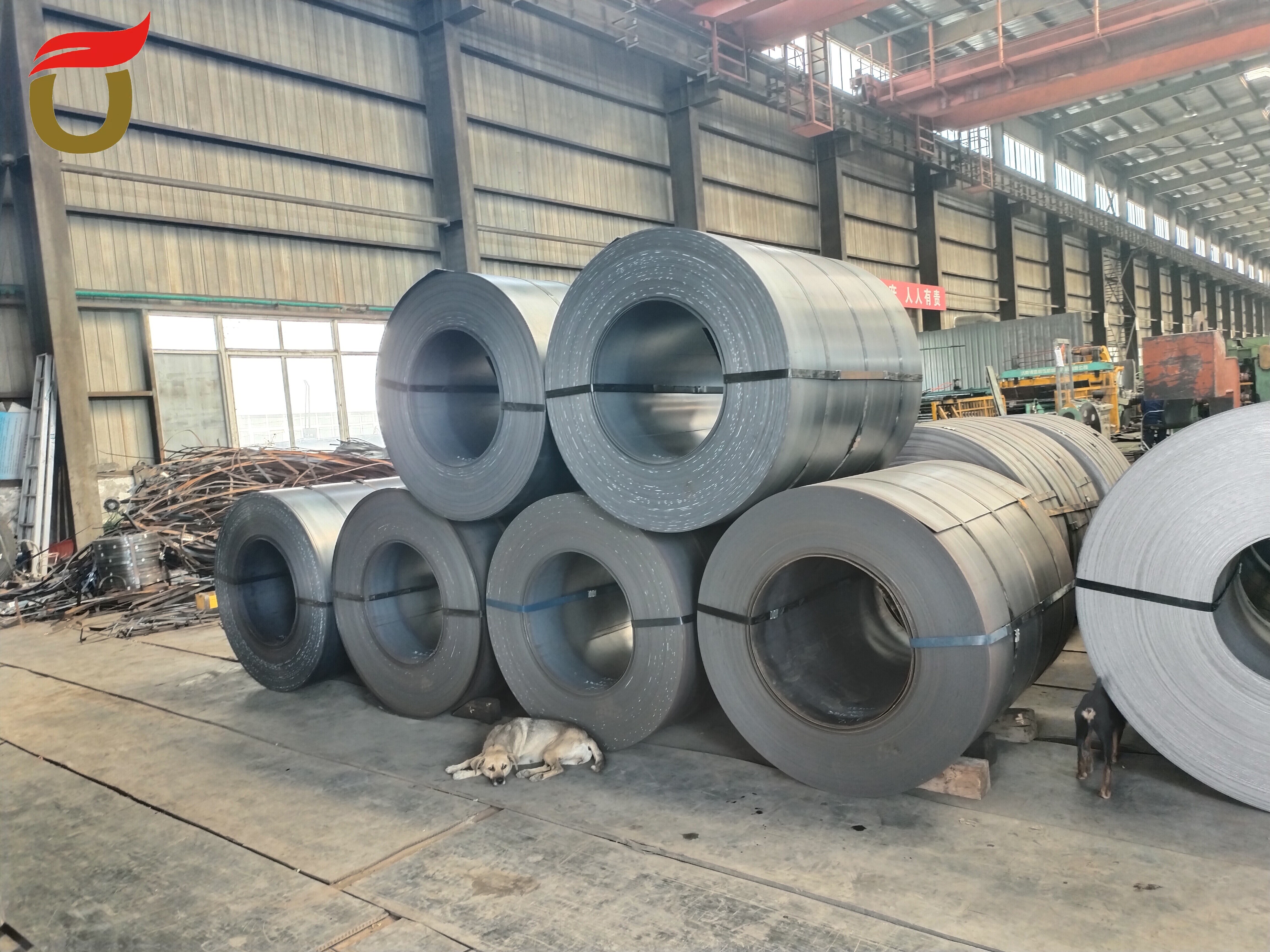 Q345B Carbon Steel Coil