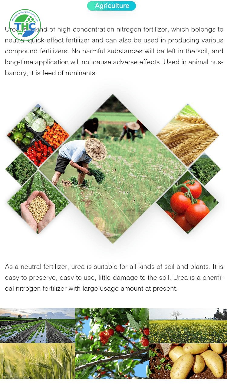 Automotive-Urea-N46-DAP-Fertilizer-Urea-Prilled-Sop-Potassium-Sulphate (2).png Automotive-Urea-N46-DAP-Fertilizer-Urea-Prilled-Sop-Potassium-Sulphate (2).png