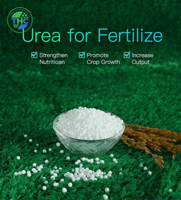 Automotive-Urea-N46-DAP-Fertilizer-Urea-Prilled-Sop-Potassium-Sulphate.png Automotive-Urea-N46-DAP-Fertilizer-Urea-Prilled-Sop-Potassium-Sulphate.png