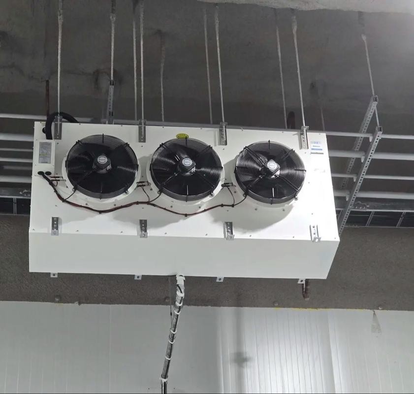 Cold storage evaporator fan