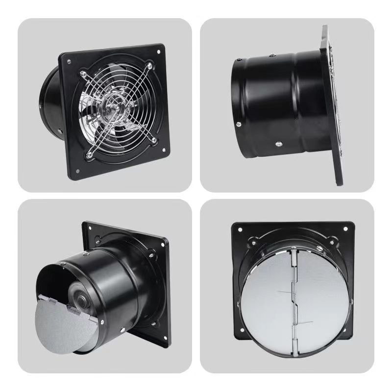 wormal fans--fan photo 1