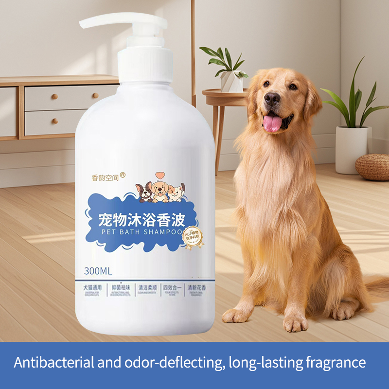 Produits de toilettage pour animaux sans eau : commodité ou risque ?