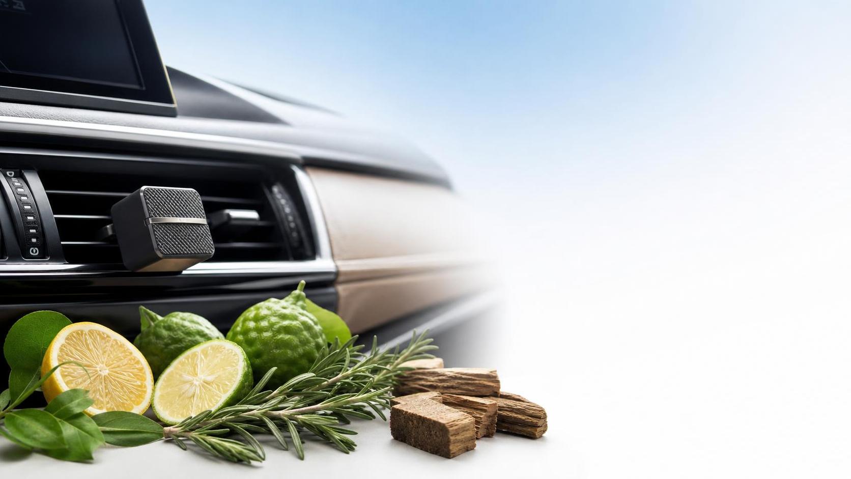 أفضل معطر سيارة للمدخنين: ما الروائح التي تقلل رائحة الدخان بأفضل شكل؟
