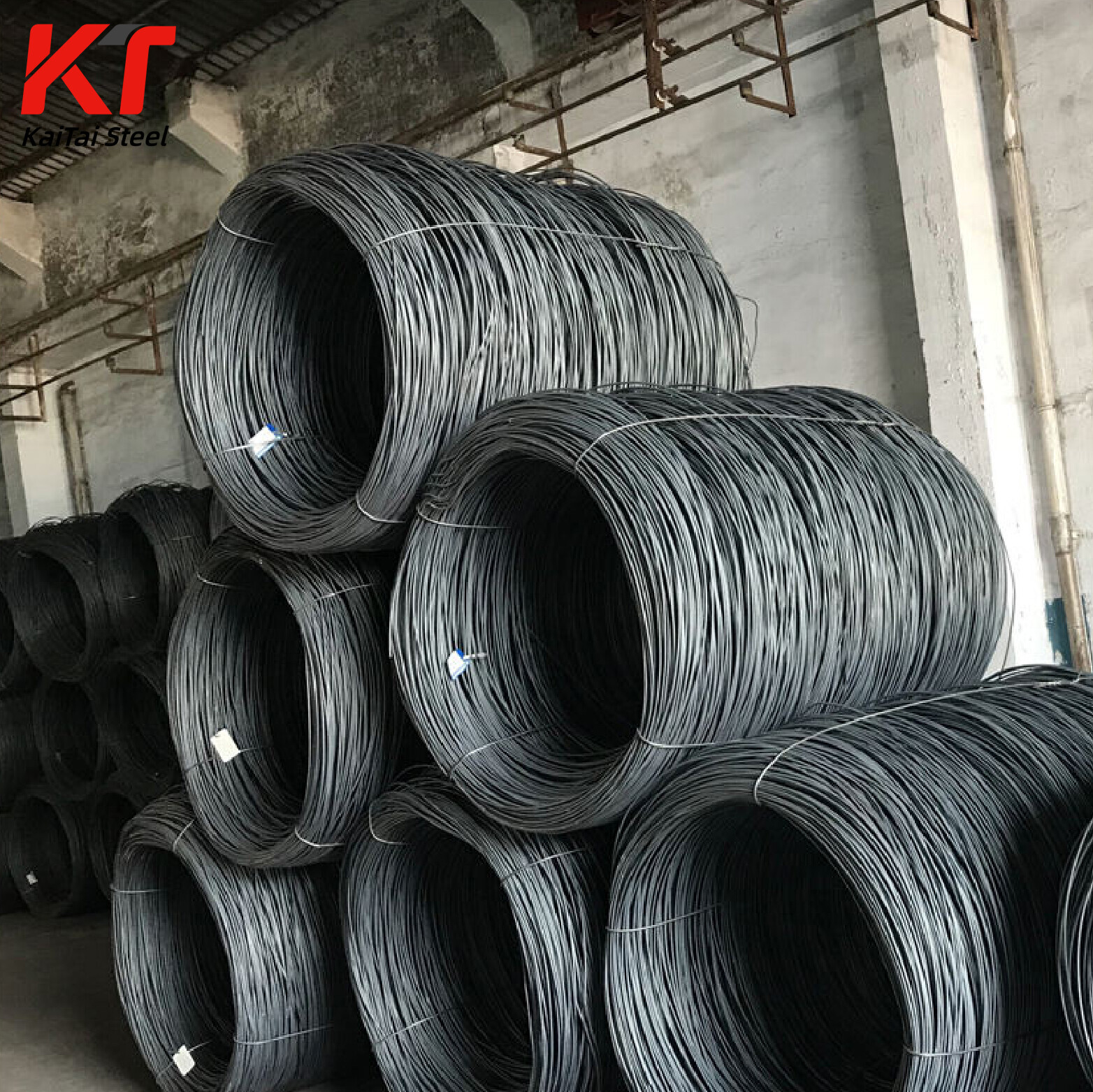 Hot Rolled Carbon Steel Wire / Spring Type Carbon Steel Wire - SAE 1008/1010