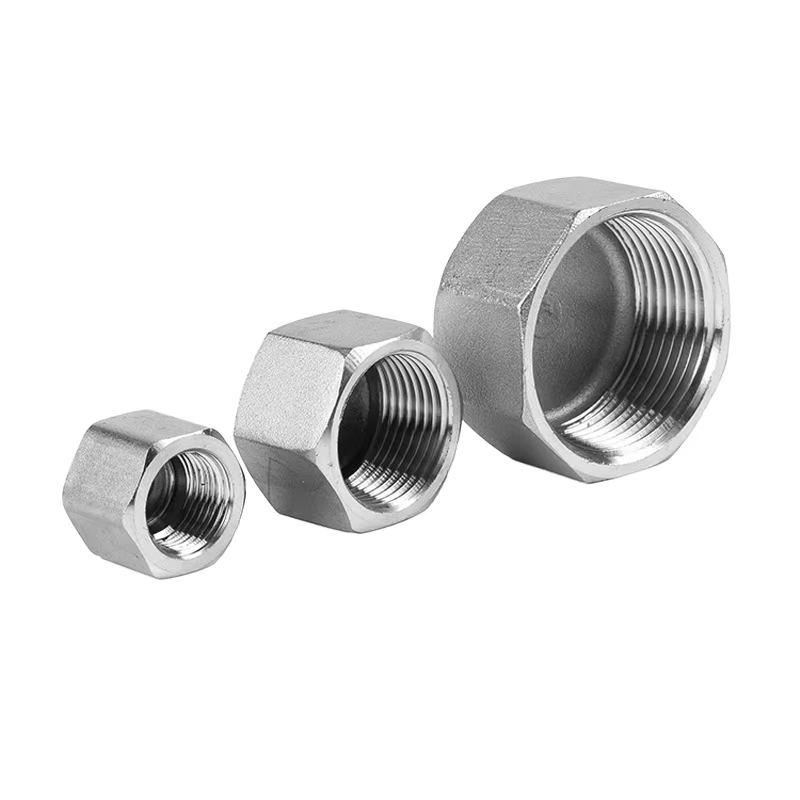 Stainless Steel Cap