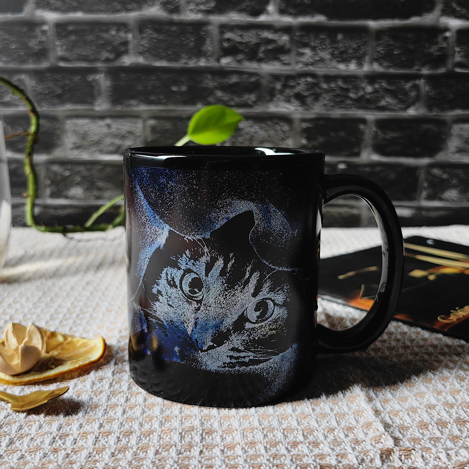 Cat-Starry Fish，animal Color Changing Mug Magic Mug.