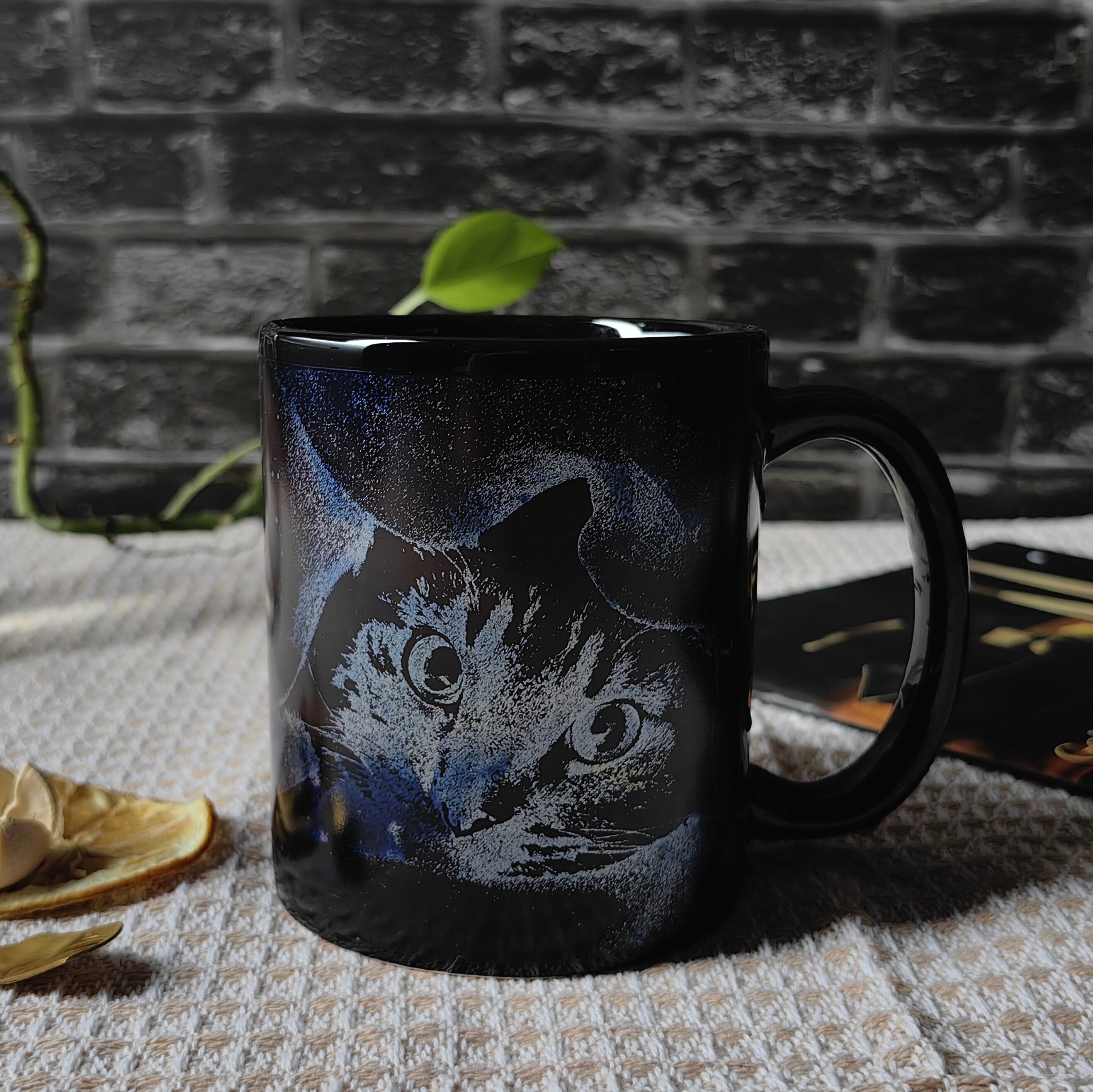 Cat-Starry Fish，animal Color Changing Mug Magic Mug.
