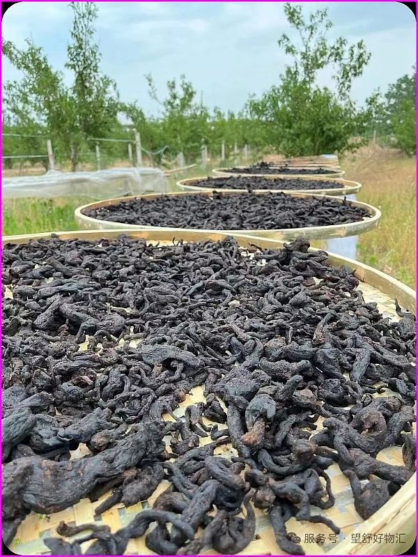 5c8f49dd-8bd5-496e-9d45-b454d352fe57