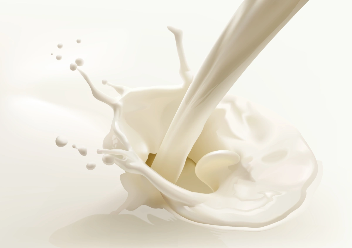 Real fresh milk