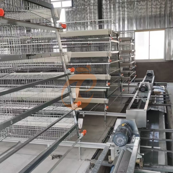 Chicken Cage Design (6)