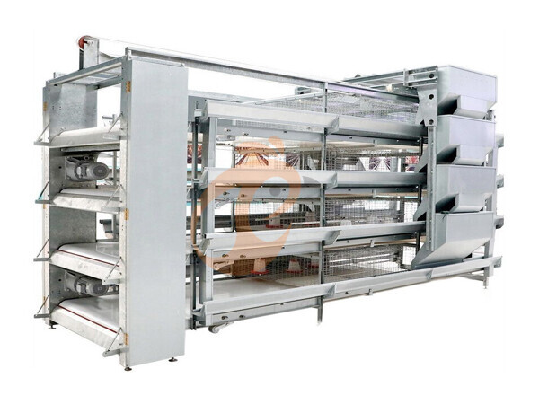Day Old Chicken Cage Design (12)