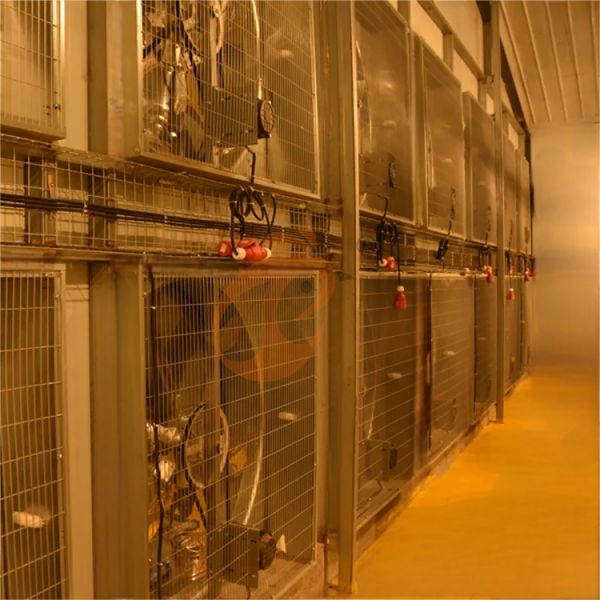 Poultry house ventilation (3)