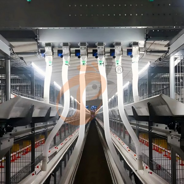 Poultry feeding system (2)