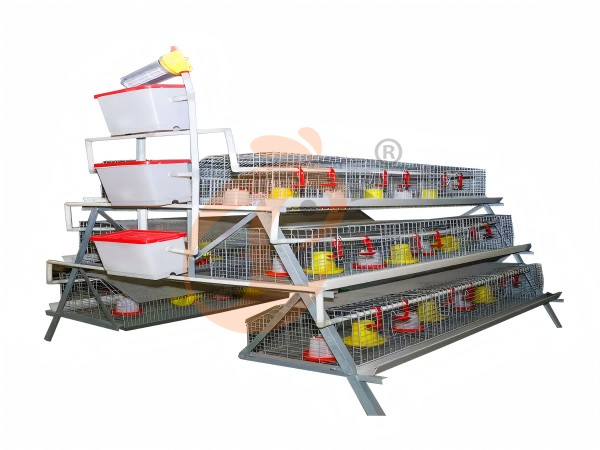 layer battery cage (32)