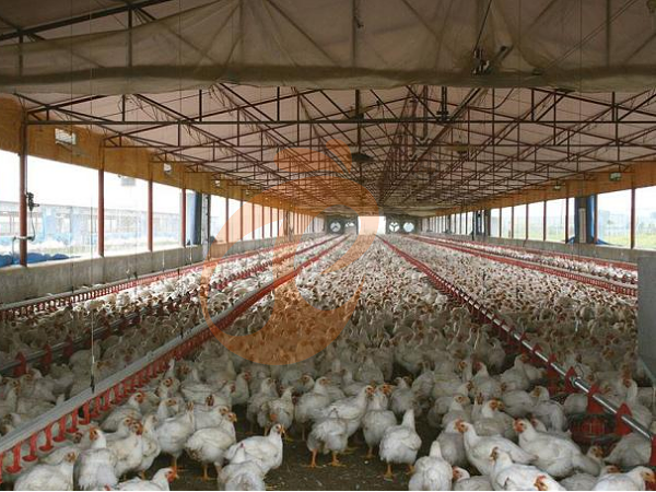 1761626718841657220677218304